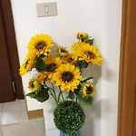 Grazioso In Centro Storico 