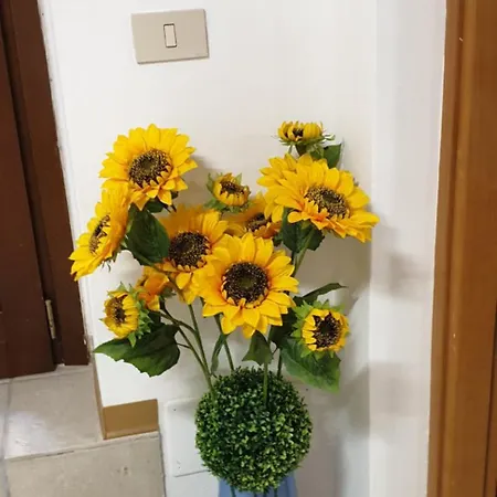 Grazioso Appartamento, Aria Condizionata 